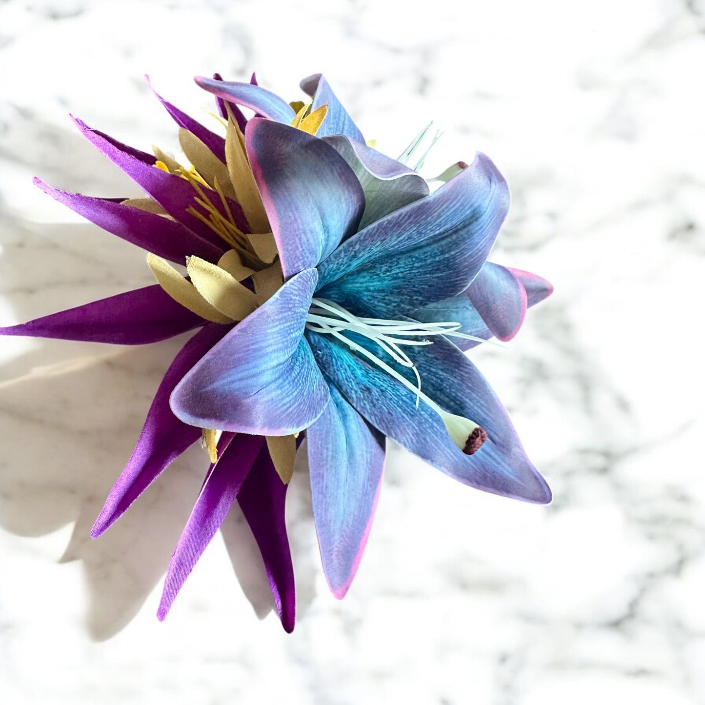 Bird of Paradise Clip