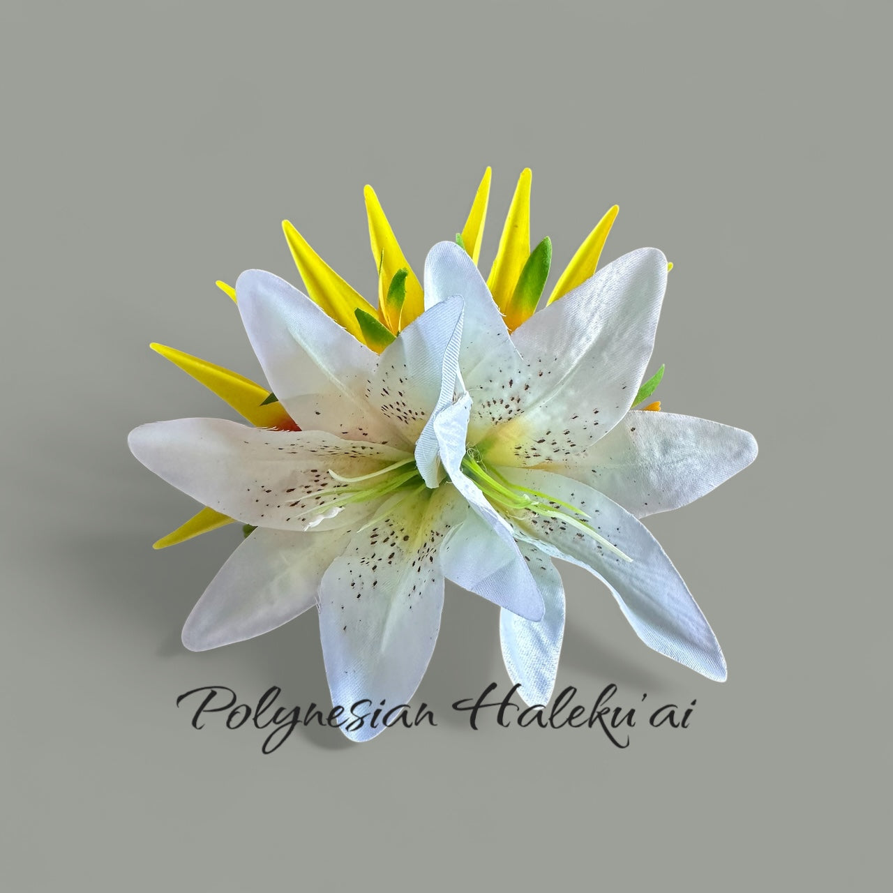 Bird of Paradise Hair Clip