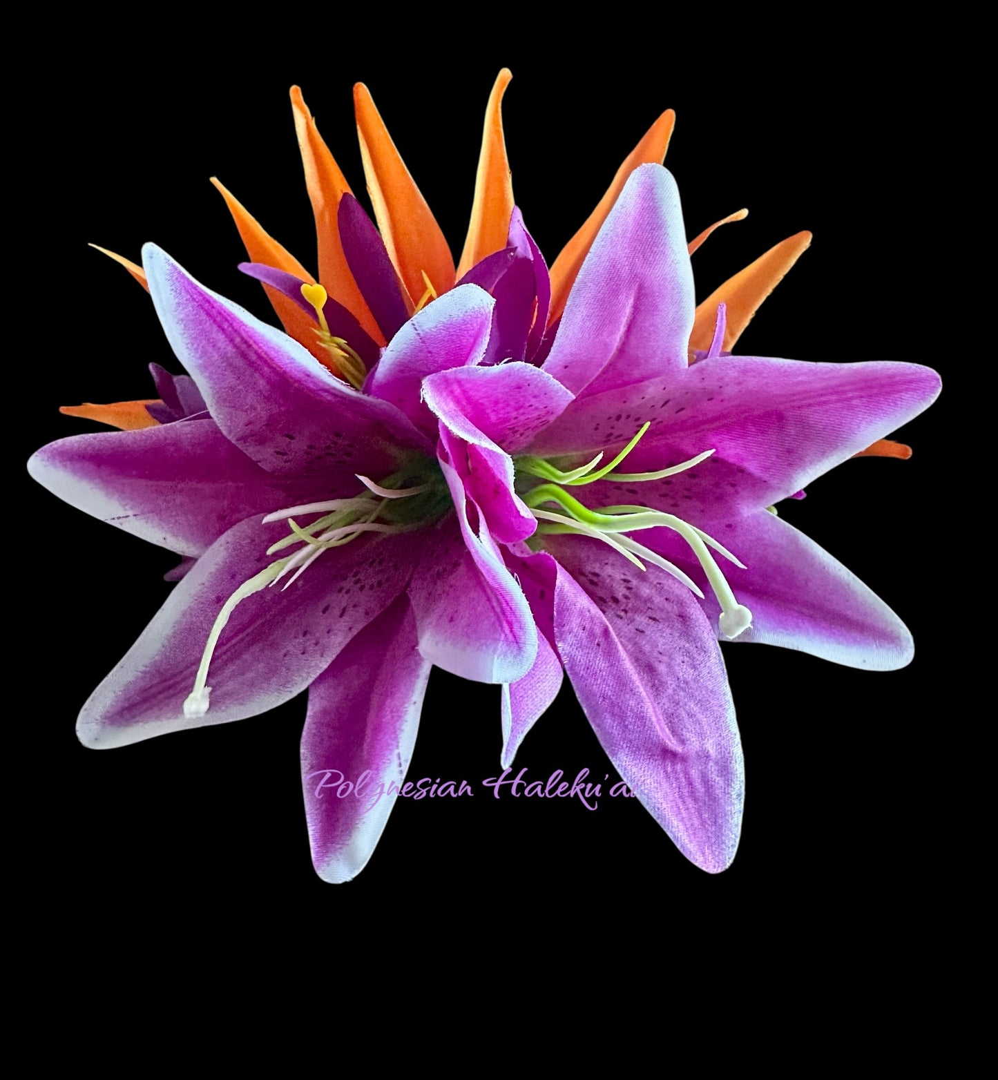 Bird of Paradise Hair Clip