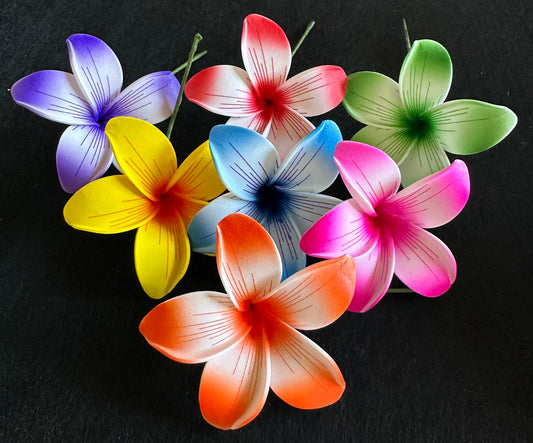 Plumeria Sei