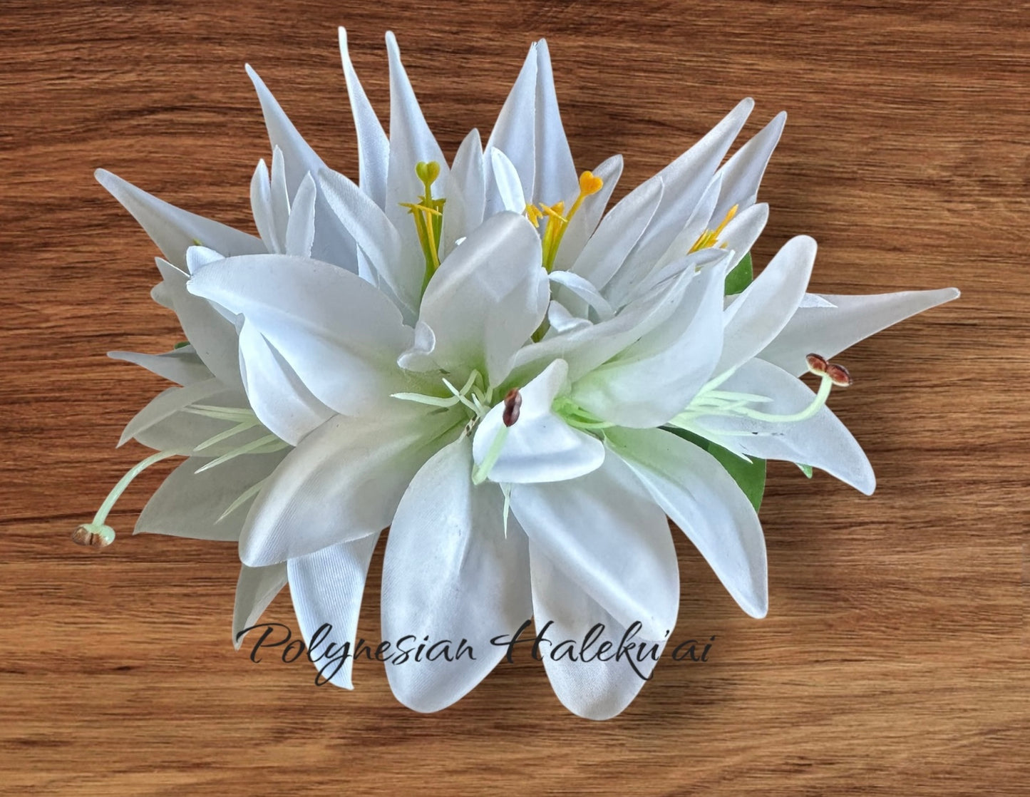 Bird of Paradise Hair Clip