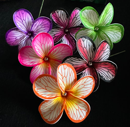 Plumeria Sei
