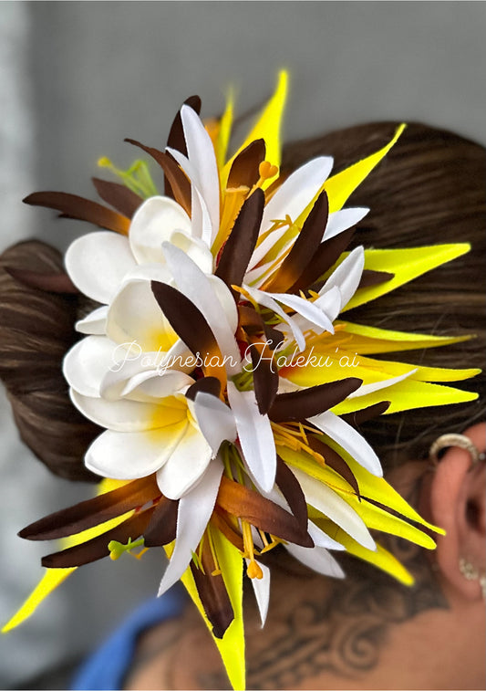 Bird of Paradise Clip