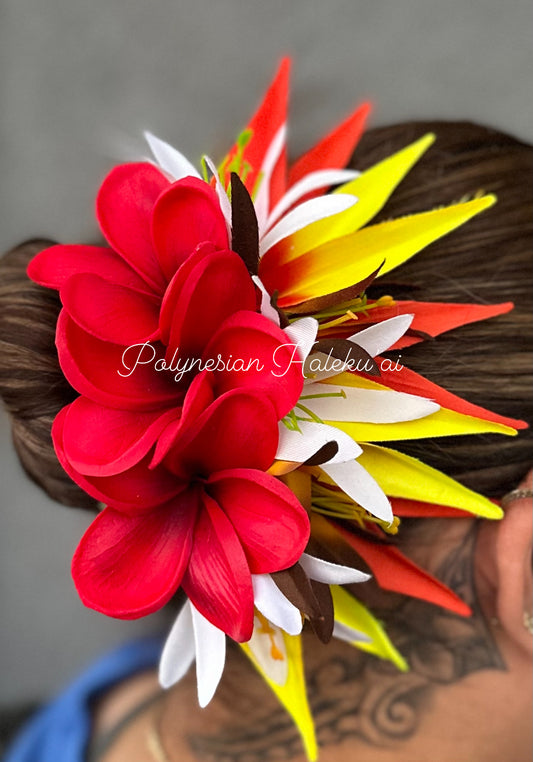 Bird of Paradise Clip