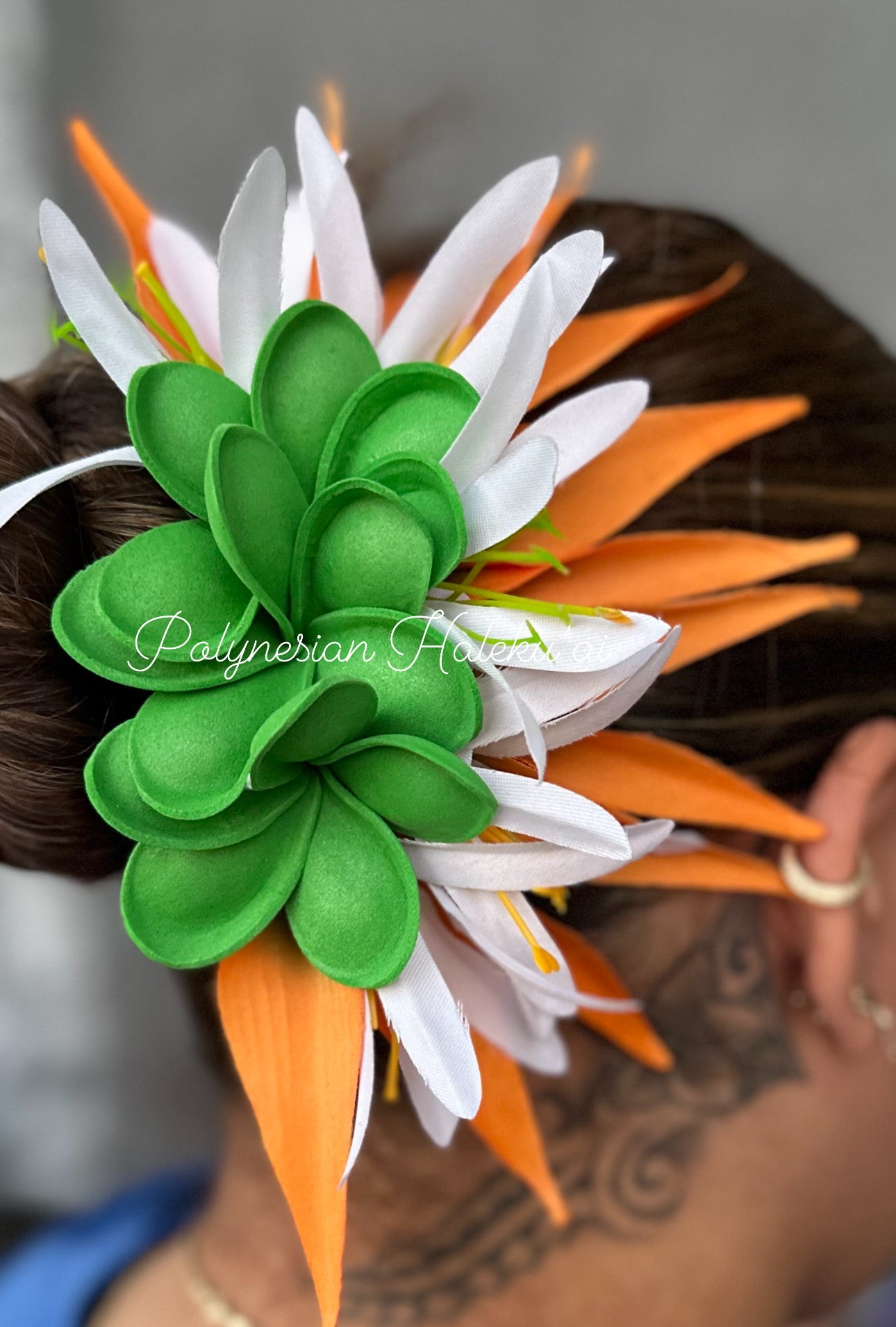 Bird of Paradise