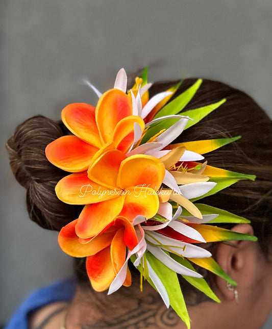 Bird of Paradise Clip