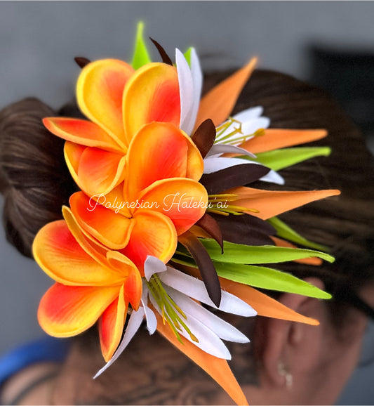 Bird of Paradise Clip